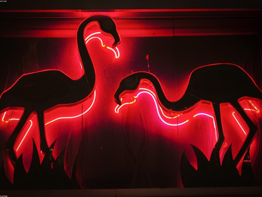 គន្លឹះថ្មីៗនៃកាស៊ីណូ និងការផលិតចំណូល