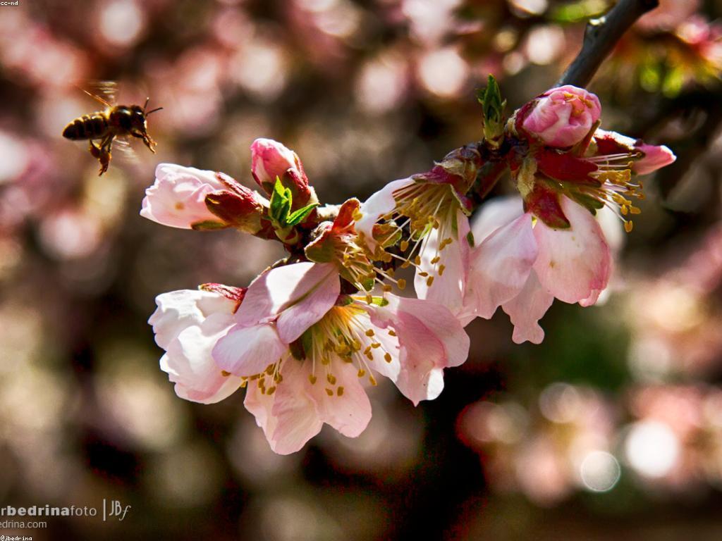 វិធីវិនិយោគយ៉ាងមានយុទ្ធសាស្ត្រ